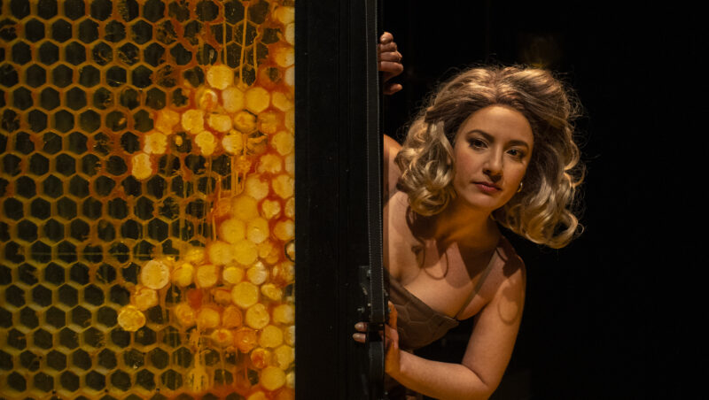 Scena dello spettacolo Come diventare ricchi e famosi da un momento all’altro